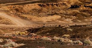 赫内斯支持废除50+1，拜仁球迷拉横幅反对：这是不可想象的